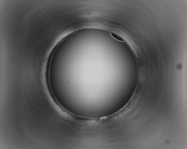 X0000103441139200809121357