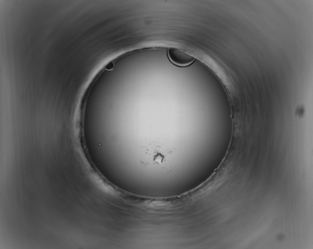 X0000103441140200809121357