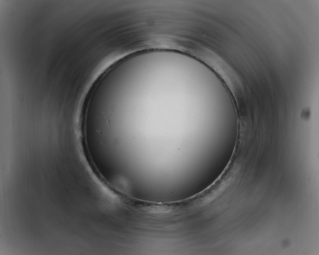 X0000103441141200809121357