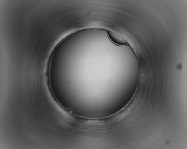 X0000103441142200809121357
