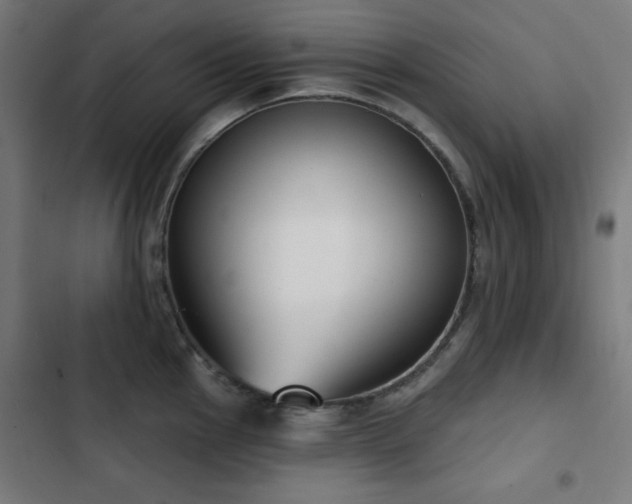 X0000103441145200809121357