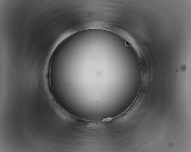 X0000103441146200809121357