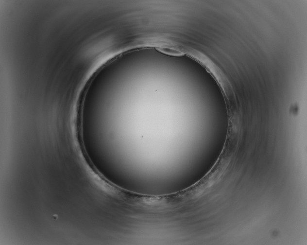 X0000103441147200809121357