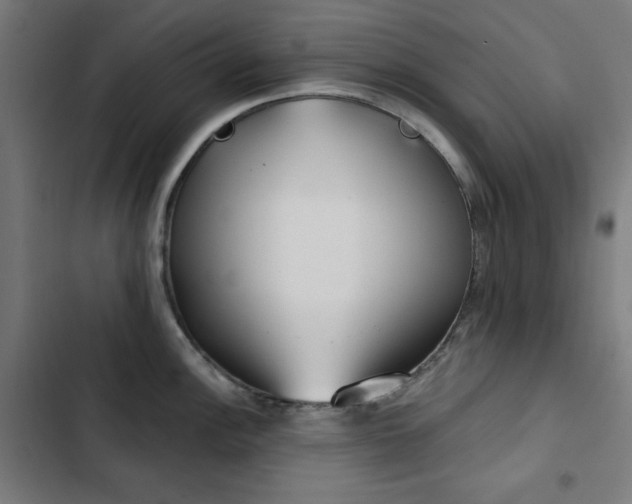 X0000103441148200809121357