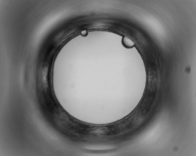 X0000103441150200809121357