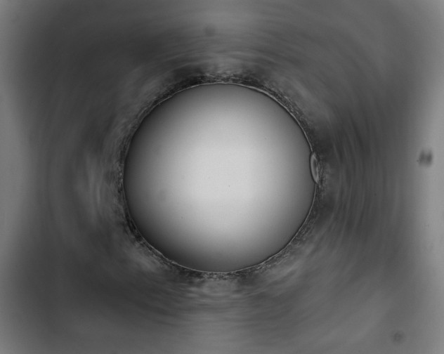 X0000103441153200809121356