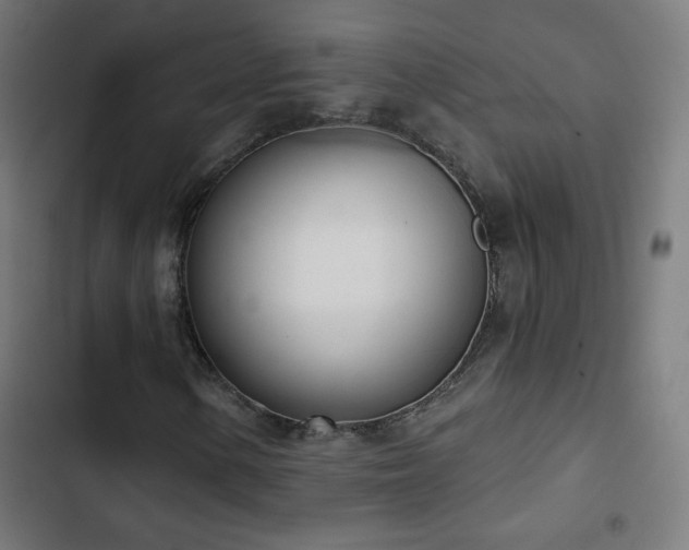 X0000103441154200809121356