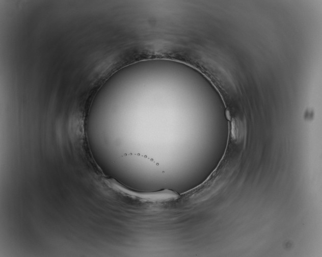 X0000103441155200809121356