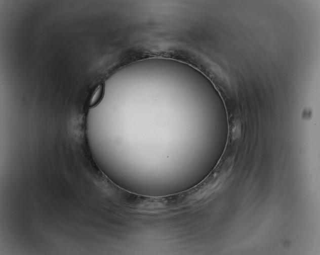 X0000103441156200809121356
