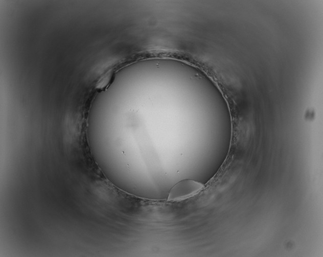 X0000103441157200809121356