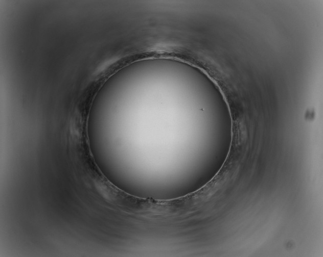 X0000103441158200809121356