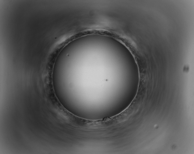 X0000103441159200809121356