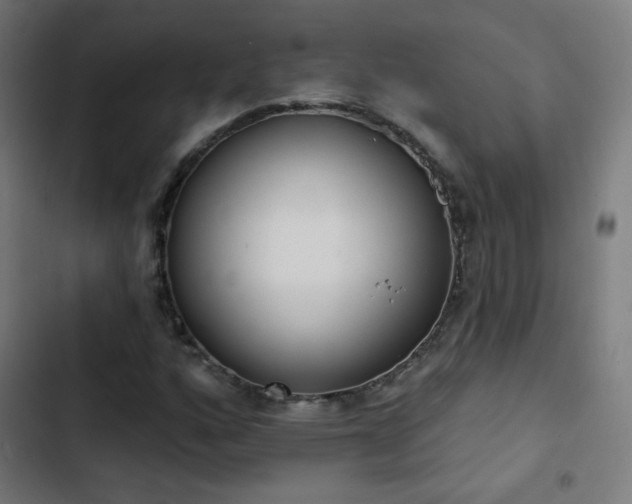 X0000103441160200809121356
