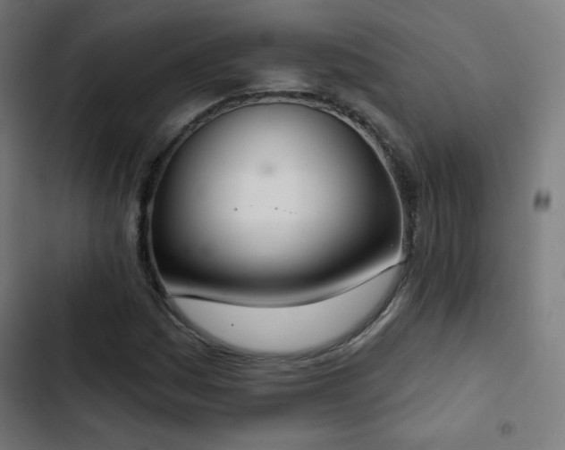 X0000103441161200809121356