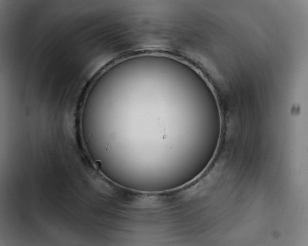 X0000103441162200809121356