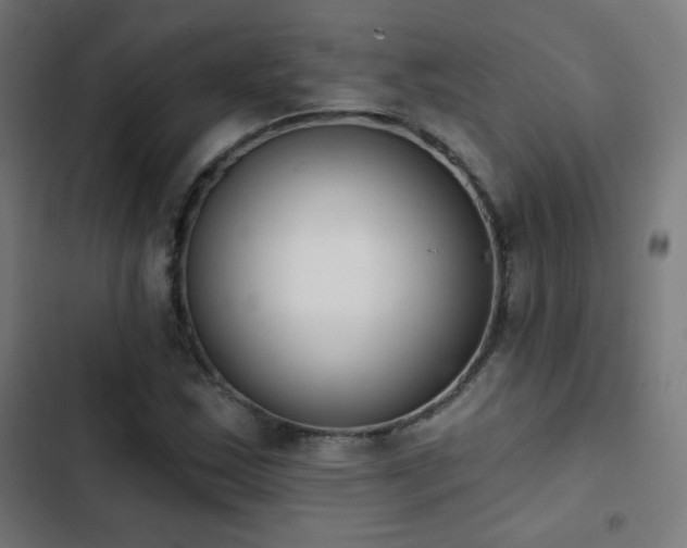 X0000103441163200809121356