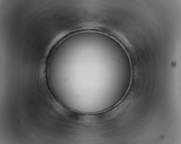 X0000103441164200809121356