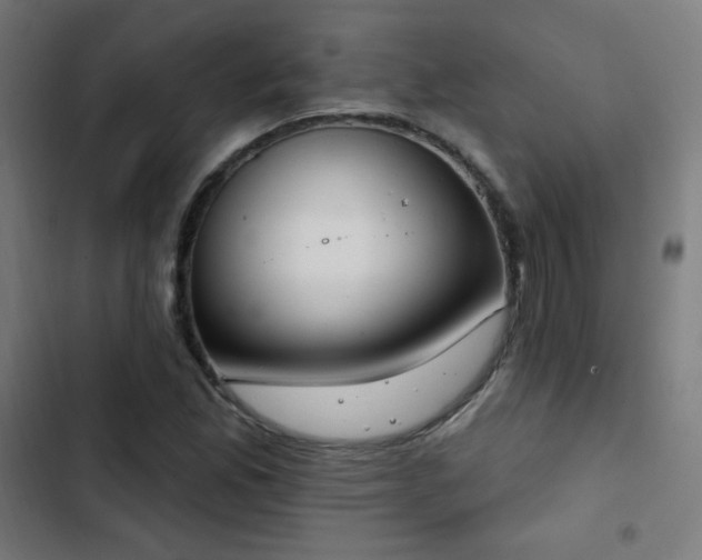 X0000103441165200809121356