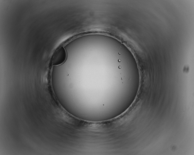 X0000103441166200809121356
