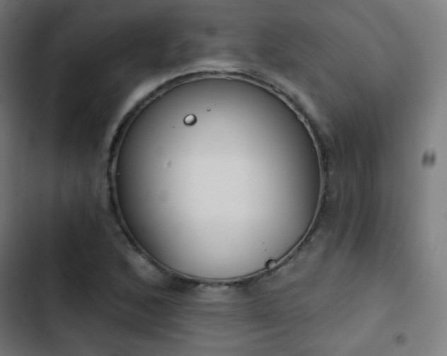 X0000103441168200809121356