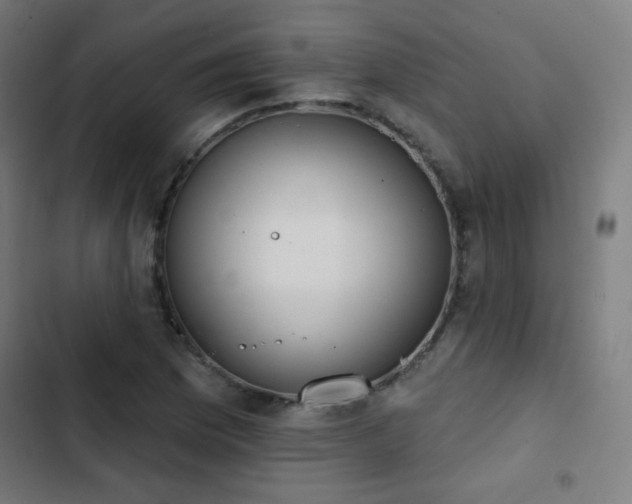 X0000103441169200809121356
