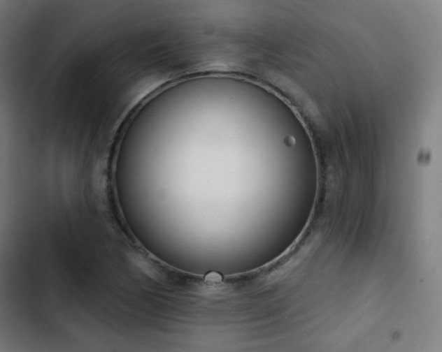 X0000103441170200809121356
