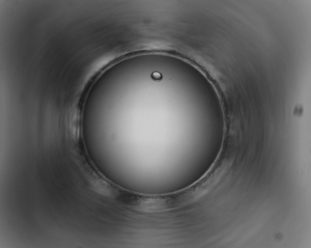 X0000103441171200809121356