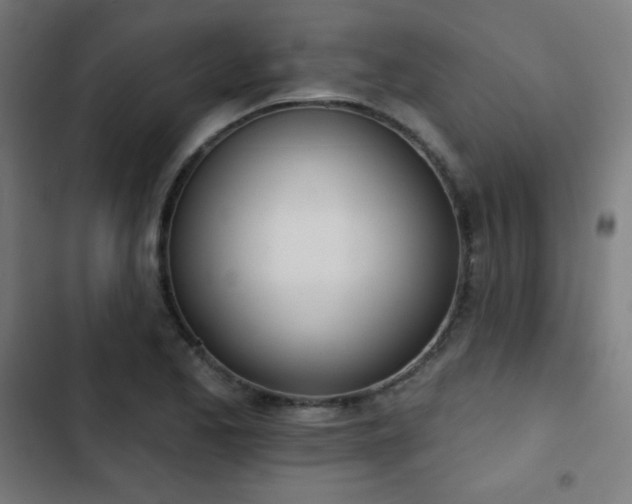 X0000103441173200809121356
