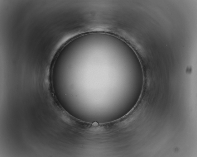 X0000103441174200809121356