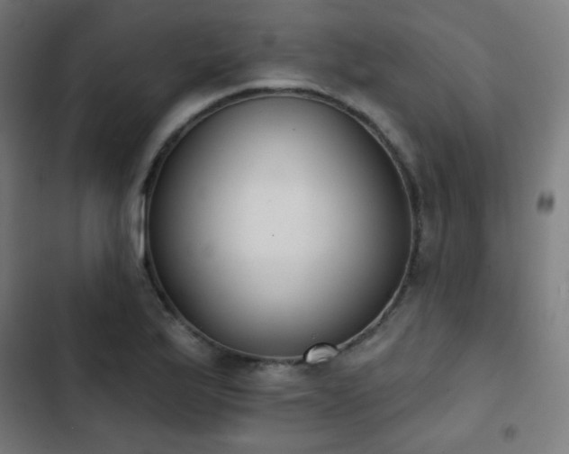 X0000103441175200809121356