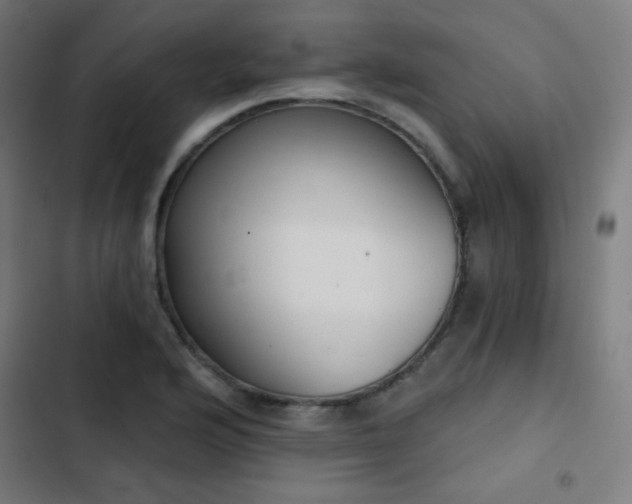 X0000103441176200809121356