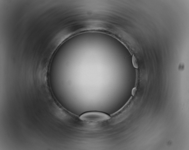 X0000103441177200809121356