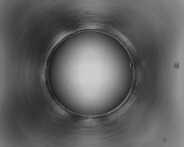 X0000103441178200809121356
