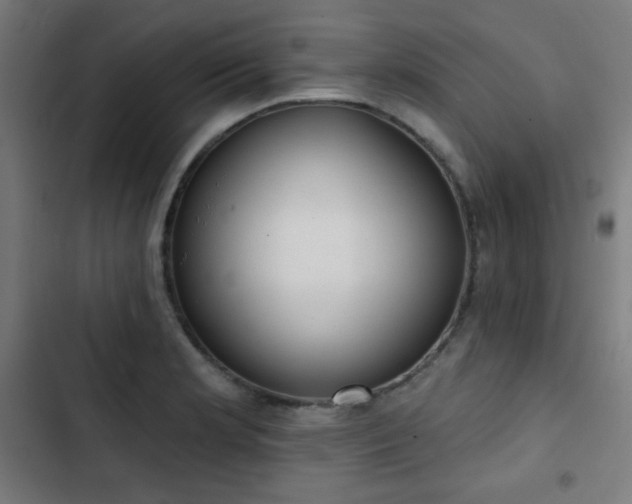 X0000103441181200809121356