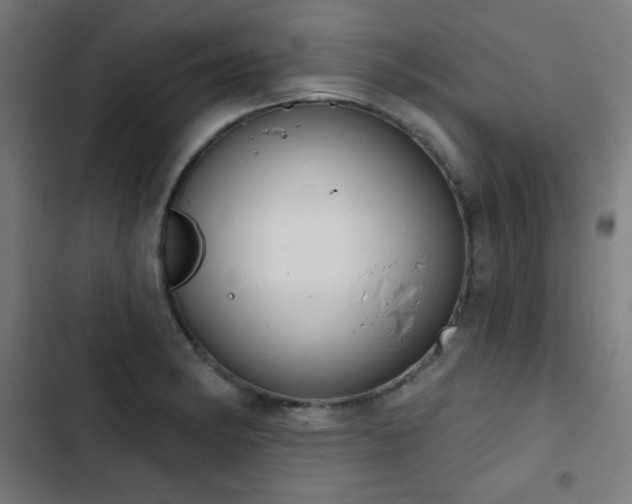 X0000103441182200809121356