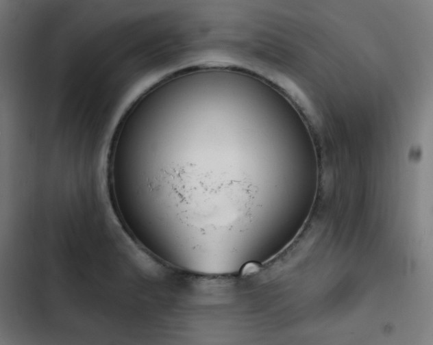 X0000103441183200809121356