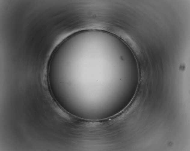 X0000103441184200809121356
