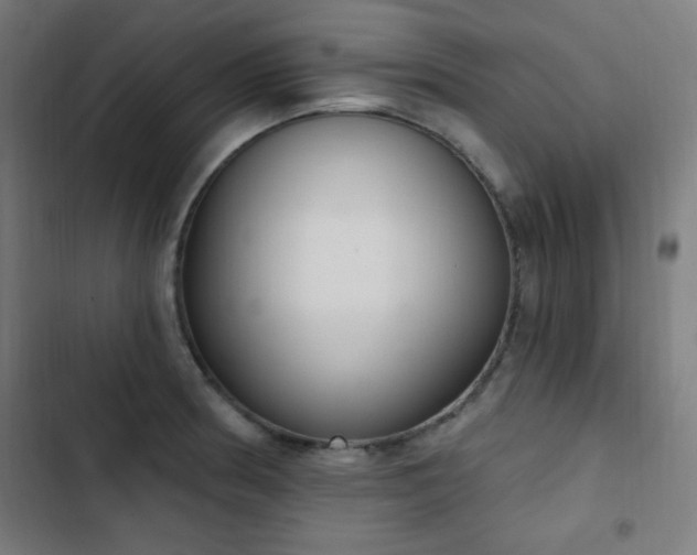 X0000103441186200809121356