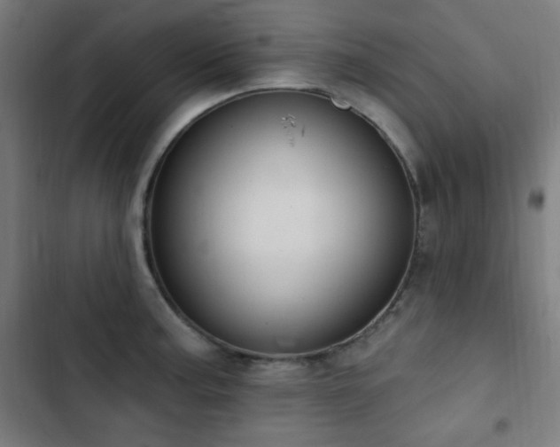 X0000103441187200809121356