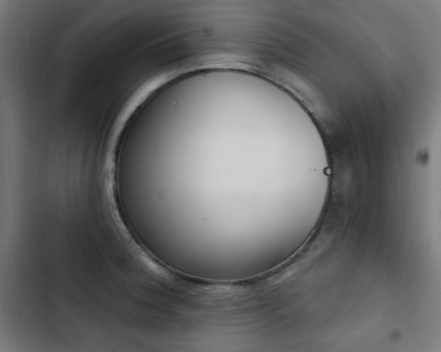 X0000103441188200809121356