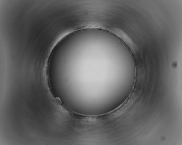 X0000103441190200809121356