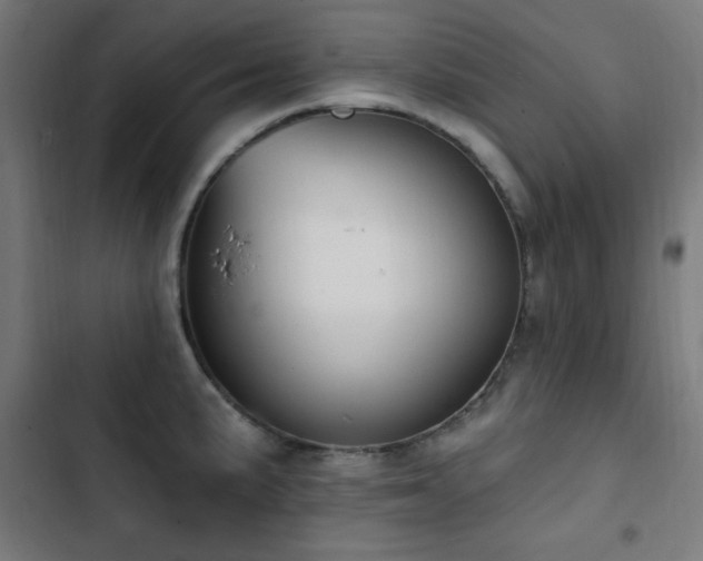 X0000103441191200809121356