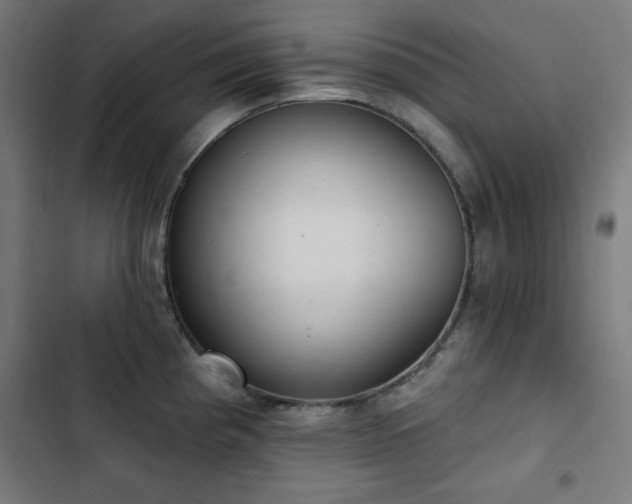 X0000103441193200809121356