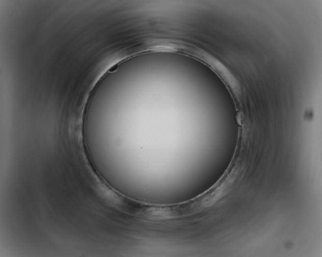 X0000103441194200809121356