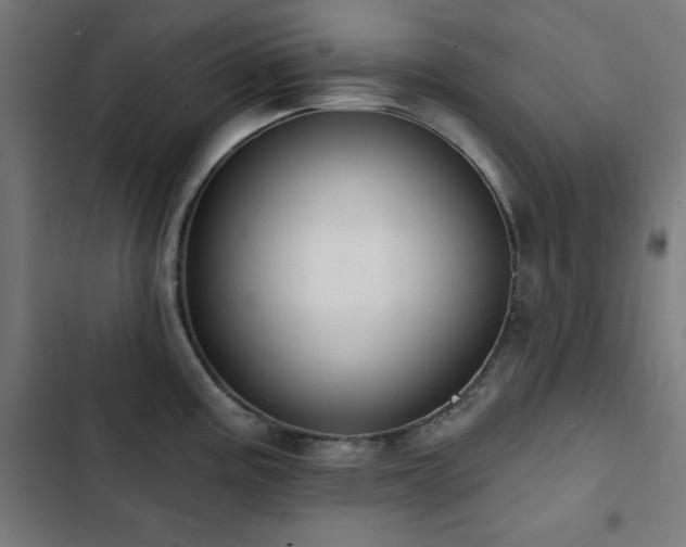 X0000103441195200809121356