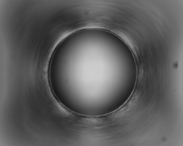 X0000103441197200809121356