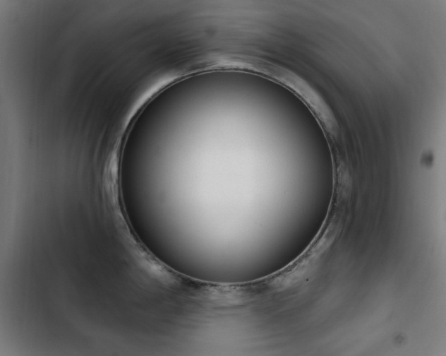 X0000103441198200809121356