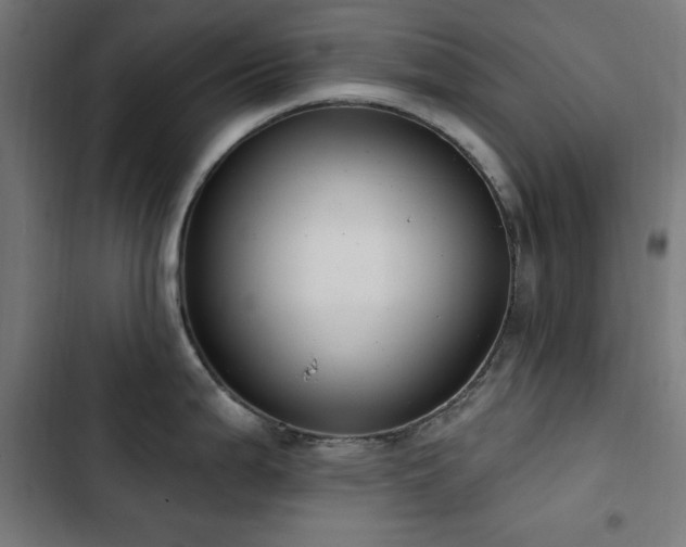 X0000103441199200809121355