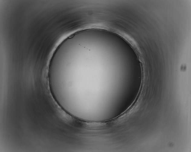 X0000103441200200809121355