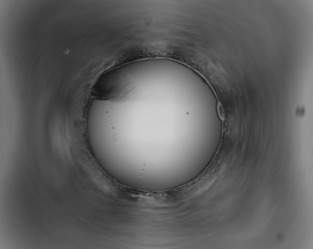 X0000103441201200809121355